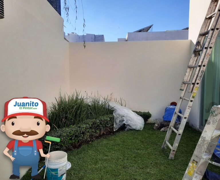 colonia providencia guadalajara