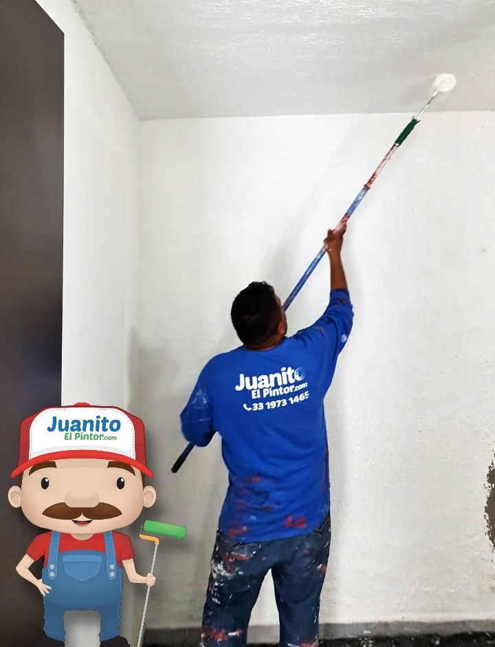 Servicios de pintura en la colonia del valle méxico