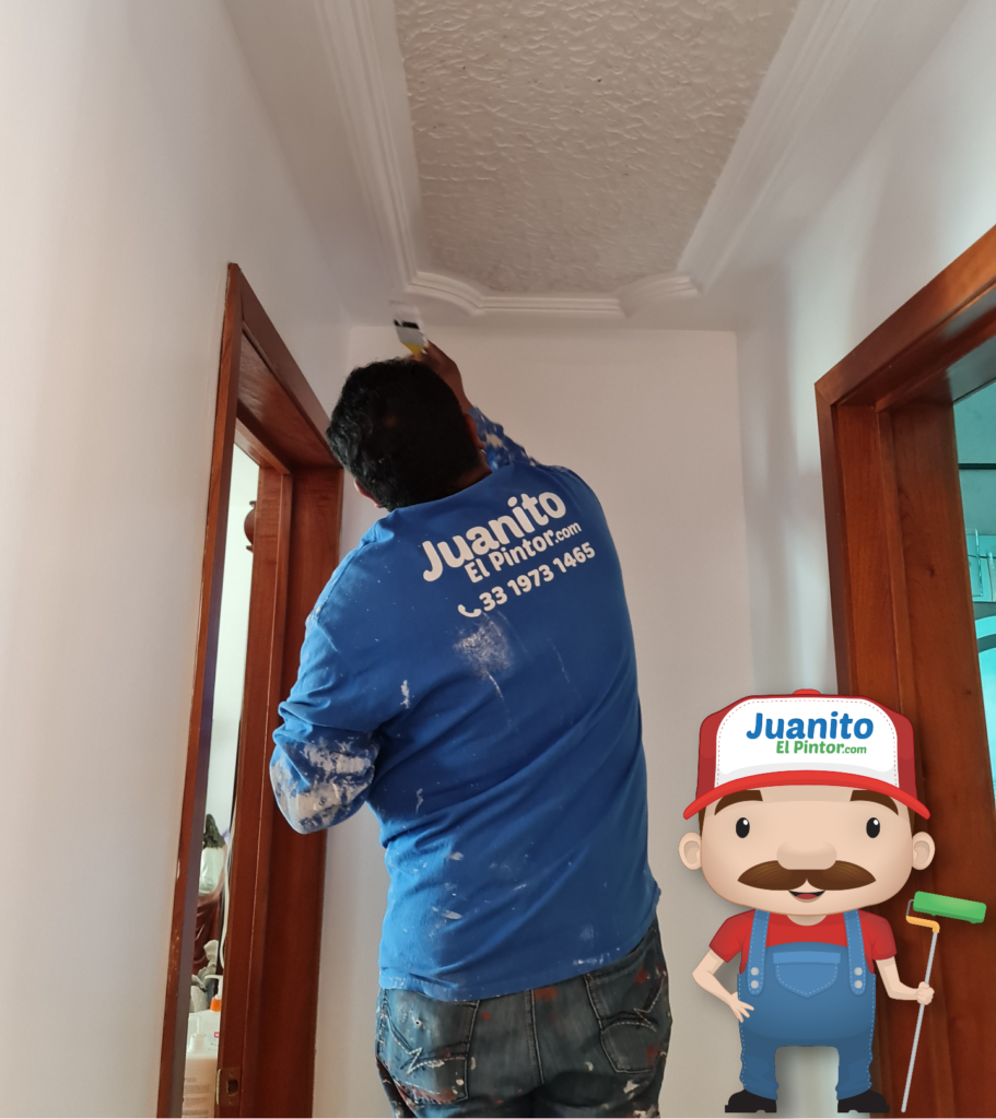 servicio de pintura en tepic nayarit
